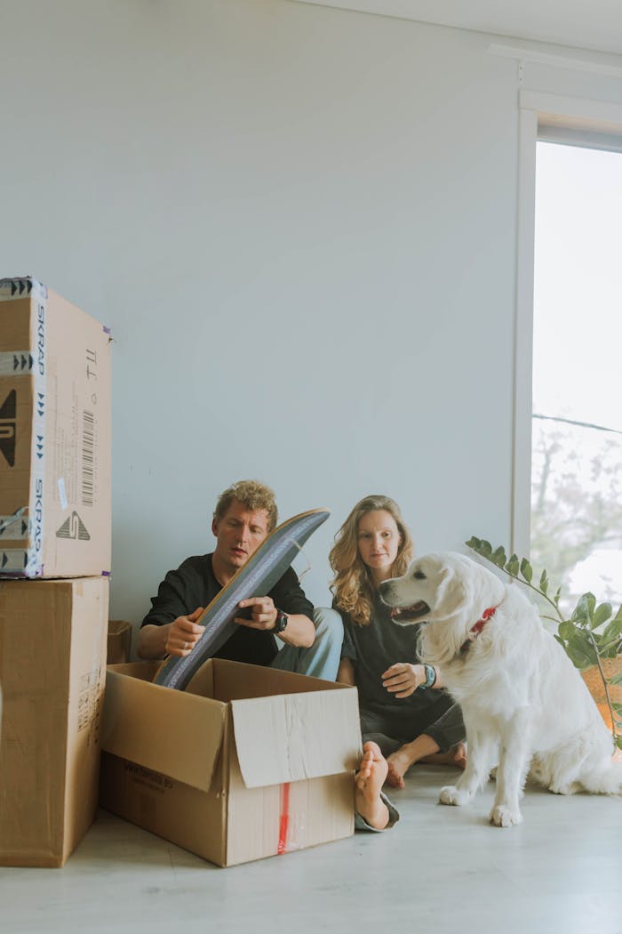 gallery-2 Couple sits among boxes with their dog in a new home. Bright light fills the space.